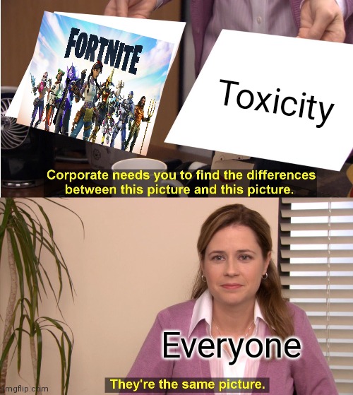 They're The Same Picture Meme | Toxicity Everyone | image tagged in memes,they're the same picture,fortnite | made w/ Imgflip meme maker