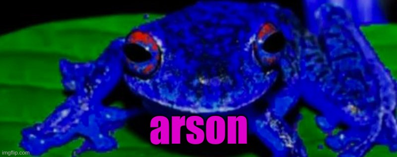 Arson Frog | arson | image tagged in arson frog | made w/ Imgflip meme maker