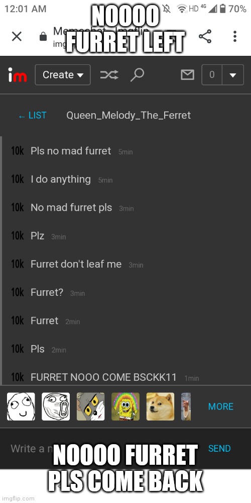 NOOOO FURRET LEFT; NOOOO FURRET PLS COME BACK | made w/ Imgflip meme maker