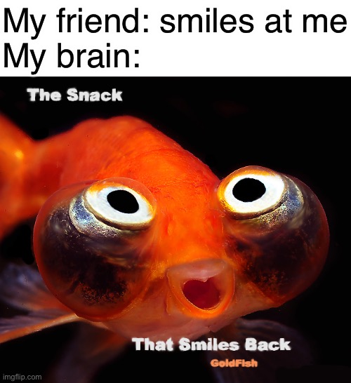 Goldfish Snack | My friend: smiles at me
My brain: | image tagged in creepy goldfish smile | made w/ Imgflip meme maker