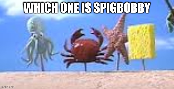 i dont know which is spicdaddle | WHICH ONE IS SPIGBOBBY | image tagged in spongebob | made w/ Imgflip meme maker