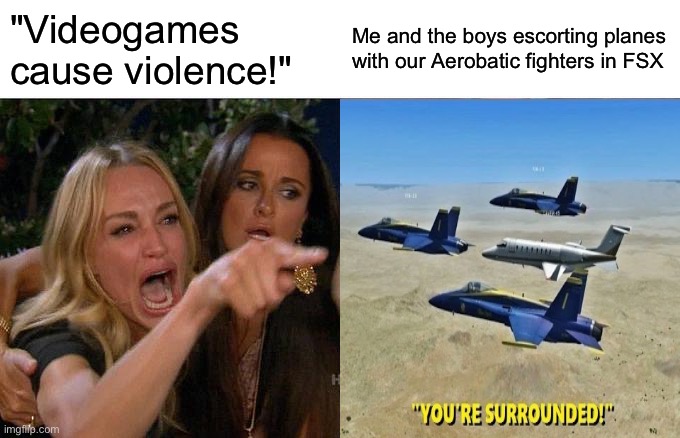 I promise this is NOT violent, lol | "Videogames cause violence!"; Me and the boys escorting planes with our Aerobatic fighters in FSX | image tagged in memes,woman yelling at cat,aviation,lol,fighter jet,violence | made w/ Imgflip meme maker