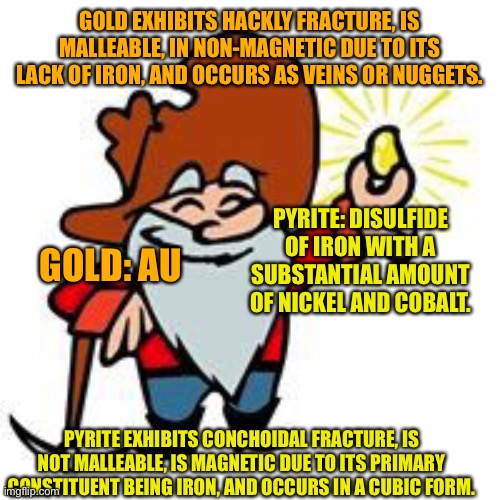 Know your mineral. |  GOLD EXHIBITS HACKLY FRACTURE, IS MALLEABLE, IN NON-MAGNETIC DUE TO ITS LACK OF IRON, AND OCCURS AS VEINS OR NUGGETS. PYRITE: DISULFIDE OF IRON WITH A SUBSTANTIAL AMOUNT OF NICKEL AND COBALT. GOLD: AU; PYRITE EXHIBITS CONCHOIDAL FRACTURE, IS NOT MALLEABLE, IS MAGNETIC DUE TO ITS PRIMARY CONSTITUENT BEING IRON, AND OCCURS IN A CUBIC FORM. | image tagged in gold miner | made w/ Imgflip meme maker