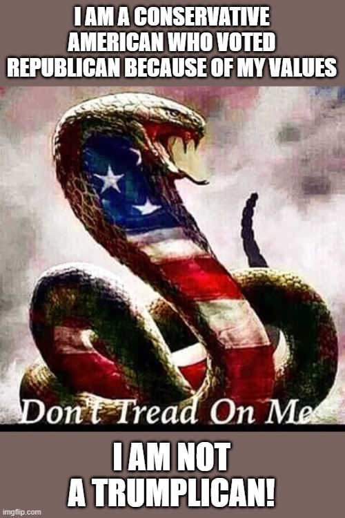 Conservative American | I AM A CONSERVATIVE AMERICAN WHO VOTED REPUBLICAN BECAUSE OF MY VALUES; I AM NOT A TRUMPLICAN! | image tagged in cobra snake patriotic,conservatives,don't tread on me | made w/ Imgflip meme maker