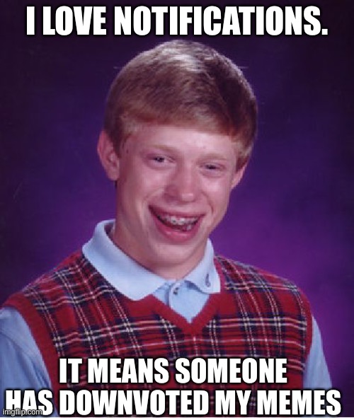 Pls don’t downvote this please? | I LOVE NOTIFICATIONS. IT MEANS SOMEONE HAS DOWNVOTED MY MEMES | image tagged in memes,bad luck brian | made w/ Imgflip meme maker