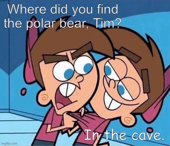 Double Timmy Turner | Where did you find the polar bear, Tim? In the cave. | image tagged in double timmy turner | made w/ Imgflip meme maker