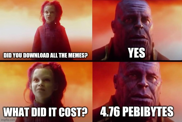 Too many memes | DID YOU DOWNLOAD ALL THE MEMES? YES; WHAT DID IT COST? 4.76 PEBIBYTES | image tagged in thanos what did it cost | made w/ Imgflip meme maker