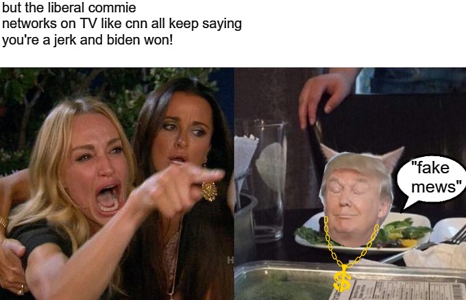 FAKE MEWS | but the liberal commie

networks on TV like cnn all keep saying
you're a jerk and biden won! "fake mews" | image tagged in memes,woman yelling at cat | made w/ Imgflip meme maker
