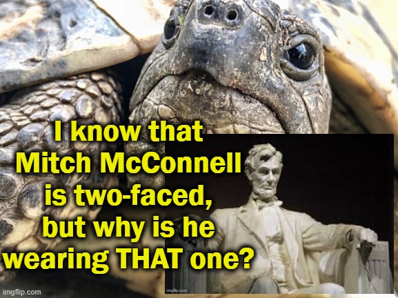Using a Kentucky-born president's joke | I know that Mitch McConnell is two-faced, but why is he wearing THAT one? | image tagged in abraham lincoln,turtle,two face,mitch mcconnell | made w/ Imgflip meme maker