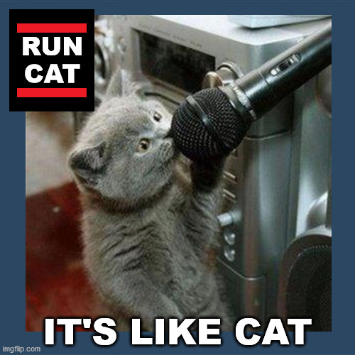 Always A Classic | RUN
CAT; IT'S LIKE CAT | image tagged in cat | made w/ Imgflip meme maker