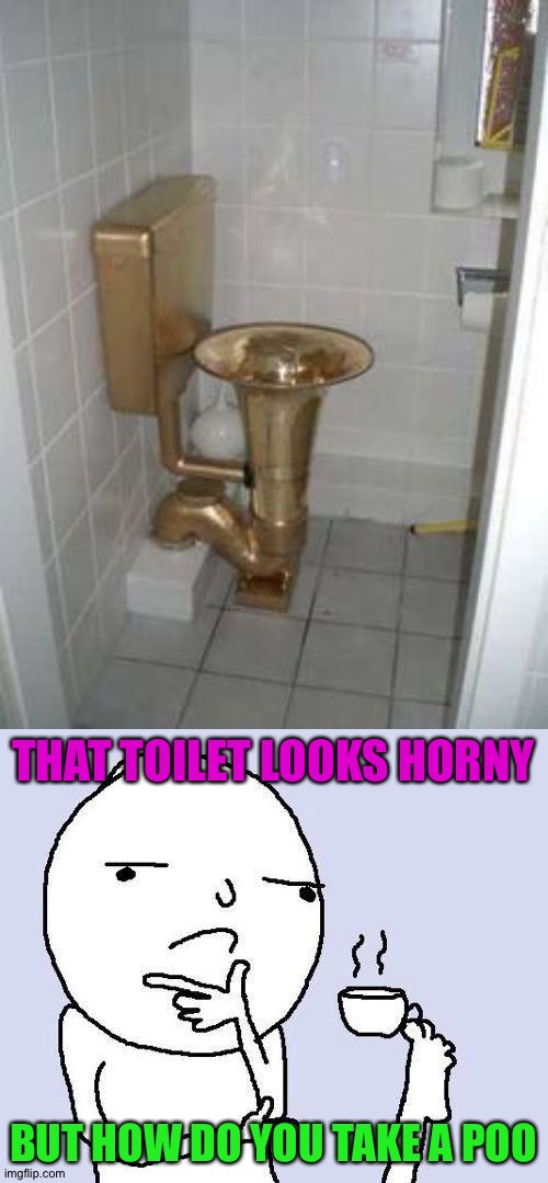 That's so useless! | THAT TOILET LOOKS HORNY; BUT HOW DO YOU TAKE A POO | image tagged in thinking meme,memes,funny,toilet | made w/ Imgflip meme maker