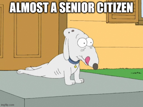 Family guy old dog | ALMOST A SENIOR CITIZEN | image tagged in family guy old dog | made w/ Imgflip meme maker