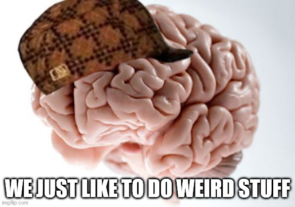 Scumbag Brain Meme | WE JUST LIKE TO DO WEIRD STUFF | image tagged in memes,scumbag brain | made w/ Imgflip meme maker