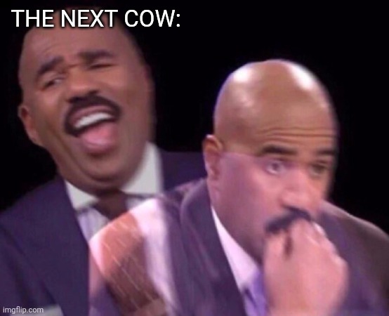 Steve Harvey Laughing Serious | THE NEXT COW: | image tagged in steve harvey laughing serious | made w/ Imgflip meme maker