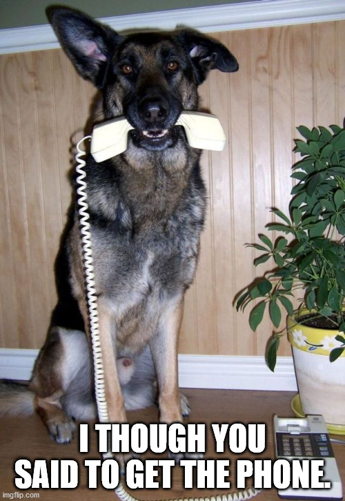 Oh you meant get the bone.... | I THOUGH YOU SAID TO GET THE PHONE. | image tagged in dogs | made w/ Imgflip meme maker