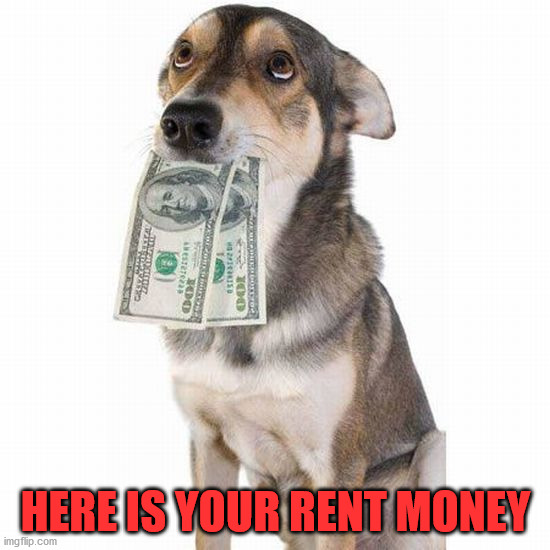 HERE IS YOUR RENT MONEY | image tagged in dogs | made w/ Imgflip meme maker