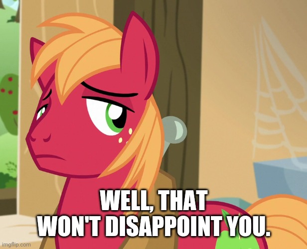 Disappointed Big Macintosh (MLP) | WELL, THAT WON'T DISAPPOINT YOU. | image tagged in disappointed big macintosh mlp | made w/ Imgflip meme maker