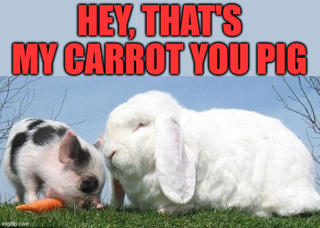 HEY, THAT'S MY CARROT YOU PIG | made w/ Imgflip meme maker