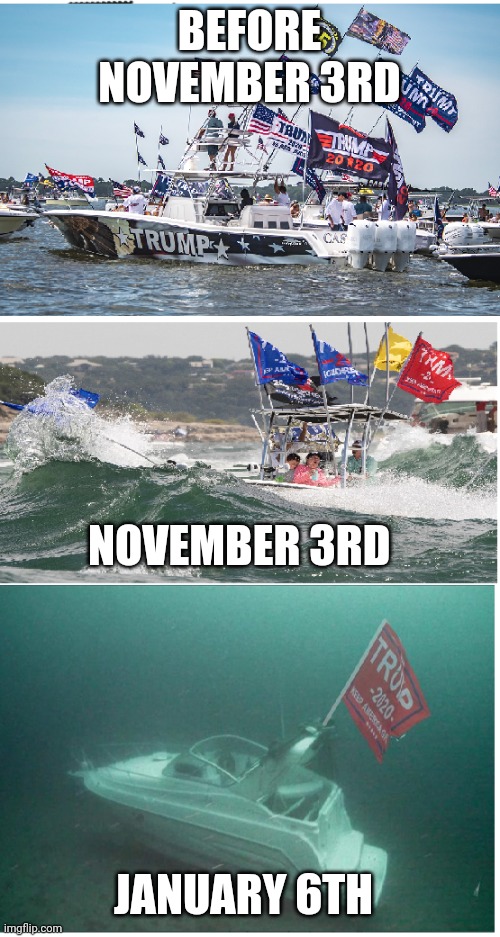 Trumpilla life cycle | BEFORE NOVEMBER 3RD; NOVEMBER 3RD; JANUARY 6TH | image tagged in trump supporters,voter fraud,election fraud,maga,never trump,nevertrump | made w/ Imgflip meme maker
