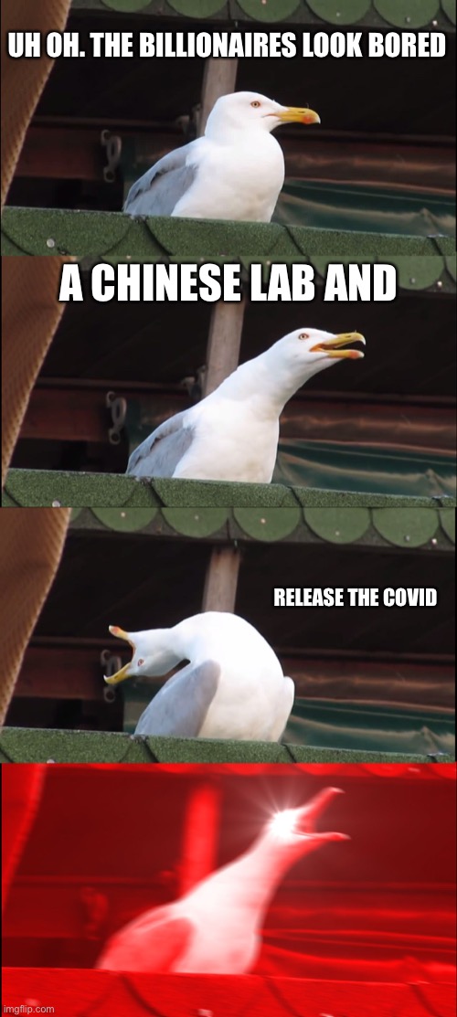 Release the Covid | UH OH. THE BILLIONAIRES LOOK BORED; A CHINESE LAB AND; RELEASE THE COVID | image tagged in memes,inhaling seagull | made w/ Imgflip meme maker