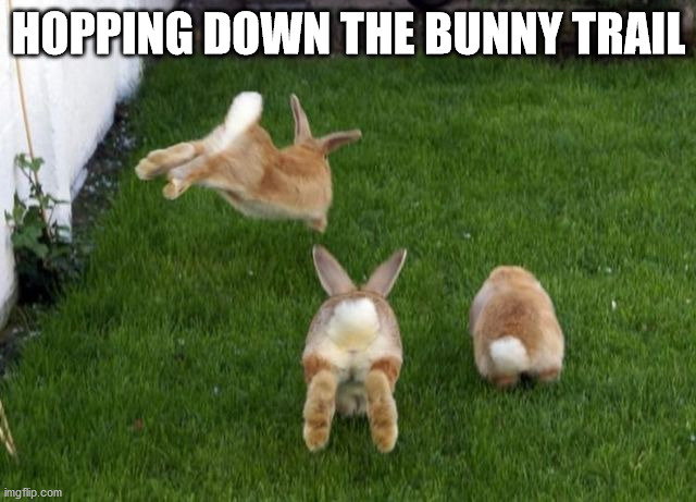 HOPPING DOWN THE BUNNY TRAIL | made w/ Imgflip meme maker