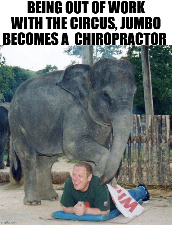 BEING OUT OF WORK WITH THE CIRCUS, JUMBO BECOMES A  CHIROPRACTOR | image tagged in chiropractor | made w/ Imgflip meme maker