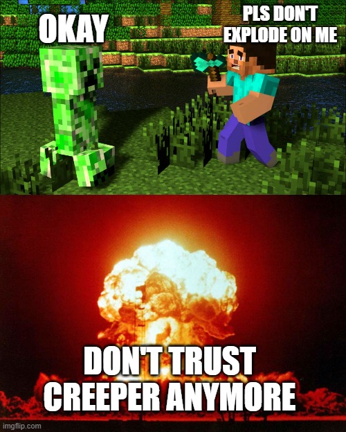 Creeper's job done | OKAY; PLS DON'T EXPLODE ON ME; DON'T TRUST CREEPER ANYMORE | image tagged in do you want to explode,explode | made w/ Imgflip meme maker