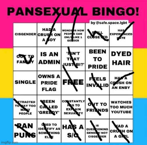 I ok | image tagged in pansexual bingo | made w/ Imgflip meme maker