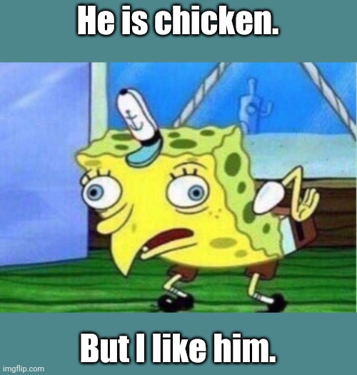 Mocking Spongebob | He is chicken. But I like him. | image tagged in memes,mocking spongebob | made w/ Imgflip meme maker