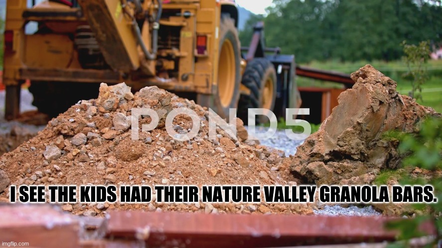 Pile of brown stone | I SEE THE KIDS HAD THEIR NATURE VALLEY GRANOLA BARS. | image tagged in pile of brown stone | made w/ Imgflip meme maker