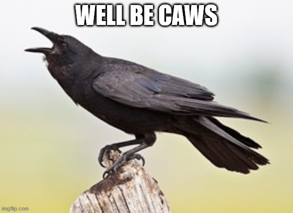 Crow Cawing | WELL BE CAWS | image tagged in crow cawing | made w/ Imgflip meme maker