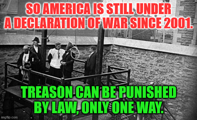Hangman | SO AMERICA IS STILL UNDER A DECLARATION OF WAR SINCE 2001. TREASON CAN BE PUNISHED BY LAW, ONLY ONE WAY. | image tagged in hangman | made w/ Imgflip meme maker