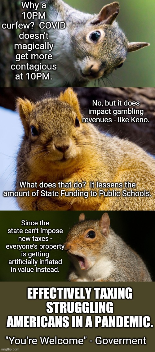 Enjoy Property Re-Assessments & the increase in due tax | Why a 10PM curfew?  COVID doesn't magically get more contagious at 10PM. No, but it does impact gambling revenues - like Keno. What does that do?  It lessens the amount of State Funding to Public Schools. Since the state can't impose new taxes - everyone's property is getting artificially inflated in value instead. EFFECTIVELY TAXING STRUGGLING AMERICANS IN A PANDEMIC. "You're Welcome" - Goverment | image tagged in government corruption,squirrels | made w/ Imgflip meme maker
