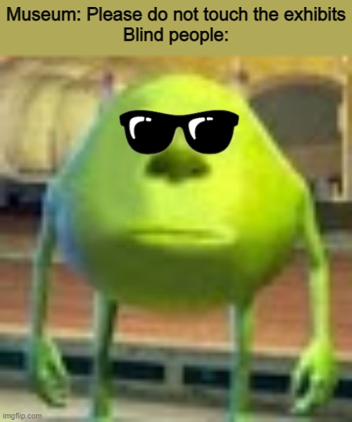 They better be ADA Compliant and Sensory Inclusive! | Museum: Please do not touch the exhibits
Blind people: | image tagged in sully wazowski,memes,blind man,blindness | made w/ Imgflip meme maker