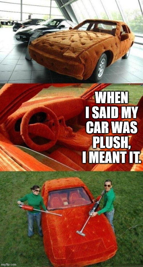 WHEN I SAID MY CAR WAS PLUSH, I MEANT IT. | made w/ Imgflip meme maker