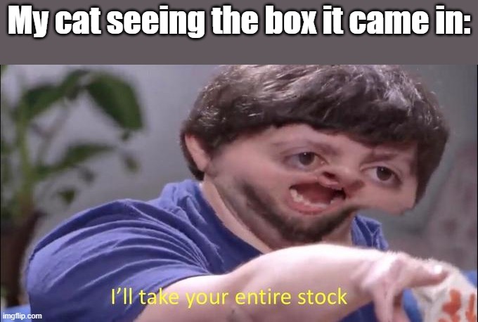 I'll take your entire stock | My cat seeing the box it came in: | image tagged in i'll take your entire stock | made w/ Imgflip meme maker