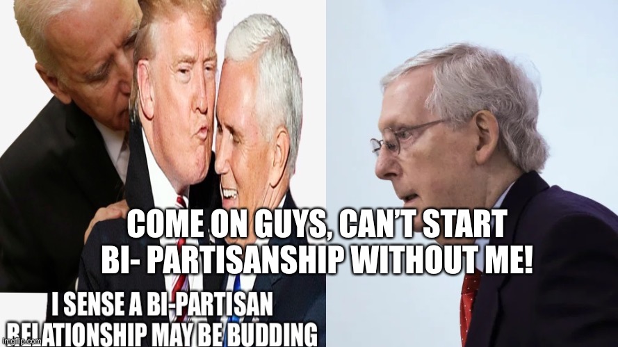 COME ON GUYS, CAN’T START BI- PARTISANSHIP WITHOUT ME! | made w/ Imgflip meme maker
