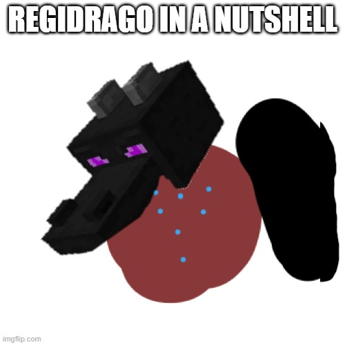 sry for the bad quality | REGIDRAGO IN A NUTSHELL | image tagged in blank white template | made w/ Imgflip meme maker