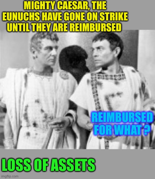 When you don’t need a Tool for the job. | MIGHTY CAESAR, THE EUNUCHS HAVE GONE ON STRIKE UNTIL THEY ARE REIMBURSED; REIMBURSED FOR WHAT ? LOSS OF ASSETS | image tagged in stab caesar,eunuchs,genitals,or lack of,dark humour | made w/ Imgflip meme maker