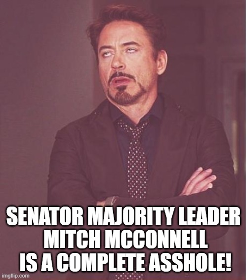 "Bitch" McConnell BLOCKS $2,000 Relief Checks for Americans | SENATOR MAJORITY LEADER
 MITCH MCCONNELL  IS A COMPLETE ASSHOLE! | image tagged in face you make robert downey jr,corrupt,mitch mcconnell,moscow mitch,asshole,stimulus checks | made w/ Imgflip meme maker