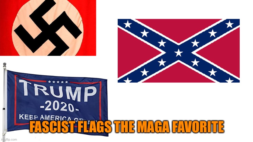 Flags of defeat | FASCIST FLAGS THE MAGA FAVORITE | image tagged in flags of defeat | made w/ Imgflip meme maker
