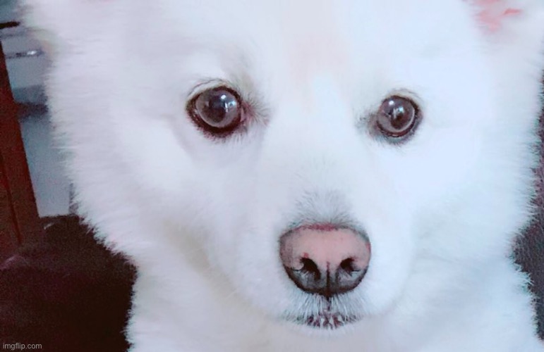 I’m just posting shit from my gallery now wow- | made w/ Imgflip meme maker