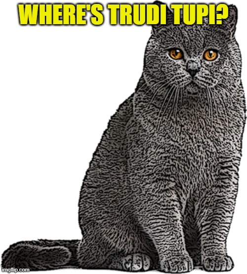 Where's Trudi Tupi | WHERE'S TRUDI TUPI? | image tagged in hilarious | made w/ Imgflip meme maker