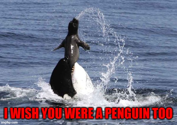 I WISH YOU WERE A PENGUIN TOO | made w/ Imgflip meme maker