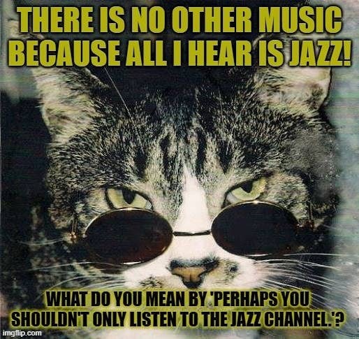There is no other music because all I hear is jazz! | image tagged in bubble,facebook,conspiracy theories,cat,jazz | made w/ Imgflip meme maker
