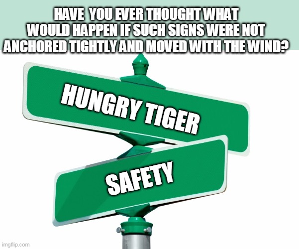 Thanks to those who fix street signs properly | HAVE  YOU EVER THOUGHT WHAT WOULD HAPPEN IF SUCH SIGNS WERE NOT ANCHORED TIGHTLY AND MOVED WITH THE WIND? HUNGRY TIGER; SAFETY | image tagged in blank street signs,memes,what if | made w/ Imgflip meme maker