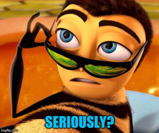 Bee Movie | SERIOUSLY? | image tagged in bee movie | made w/ Imgflip meme maker