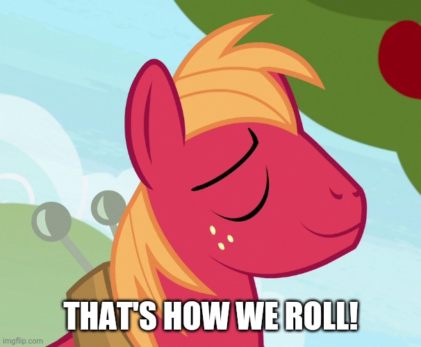 Big Macintosh (MLP) | THAT'S HOW WE ROLL! | image tagged in big macintosh mlp | made w/ Imgflip meme maker