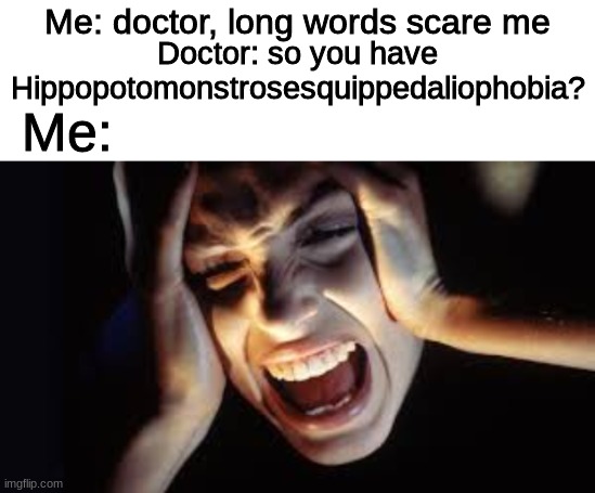 Hippopotomonstrosesquippedaliophobia is the fear of long wurds | Me: doctor, long words scare me; Doctor: so you have Hippopotomonstrosesquippedaliophobia? Me: | image tagged in auto tuned,aaaaaaaaaa | made w/ Imgflip meme maker