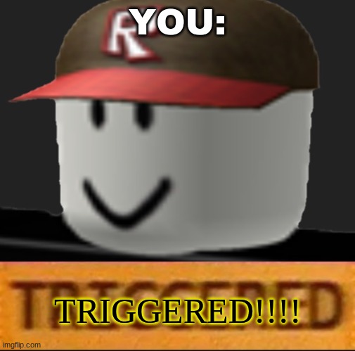 Roblox Triggered | YOU:; TRIGGERED!!!! | image tagged in roblox triggered | made w/ Imgflip meme maker